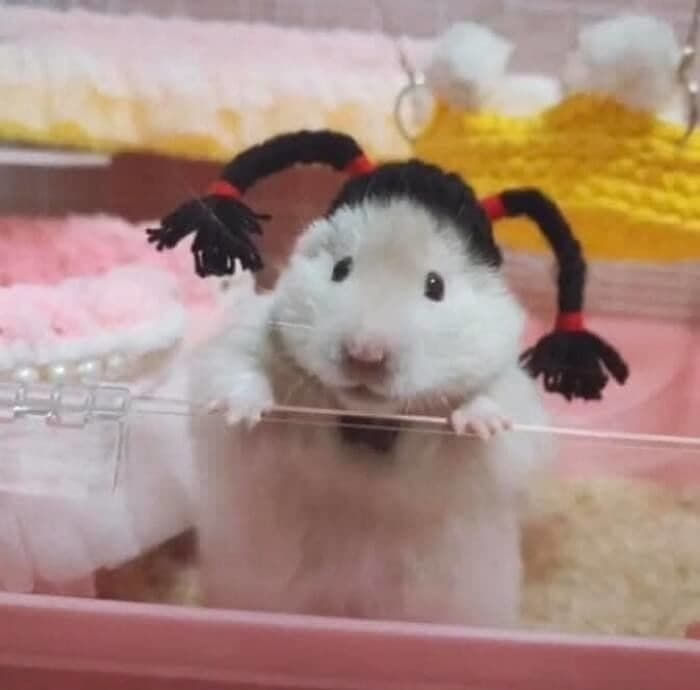 애니멀플래닛