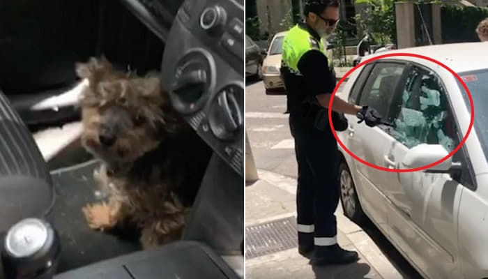 猛暑の中 車に閉じ込められた犬を助けようと窓ガラスを割って運転手に 悪口を言われた警察官