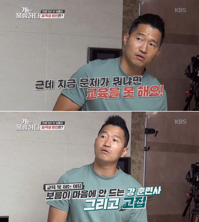 애니멀플래닛
