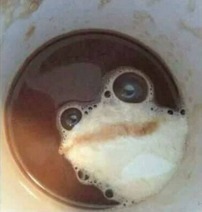 애니멀플래닛