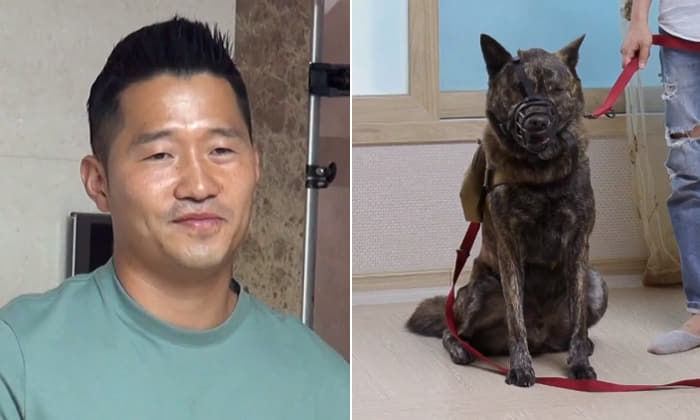 애니멀플래닛