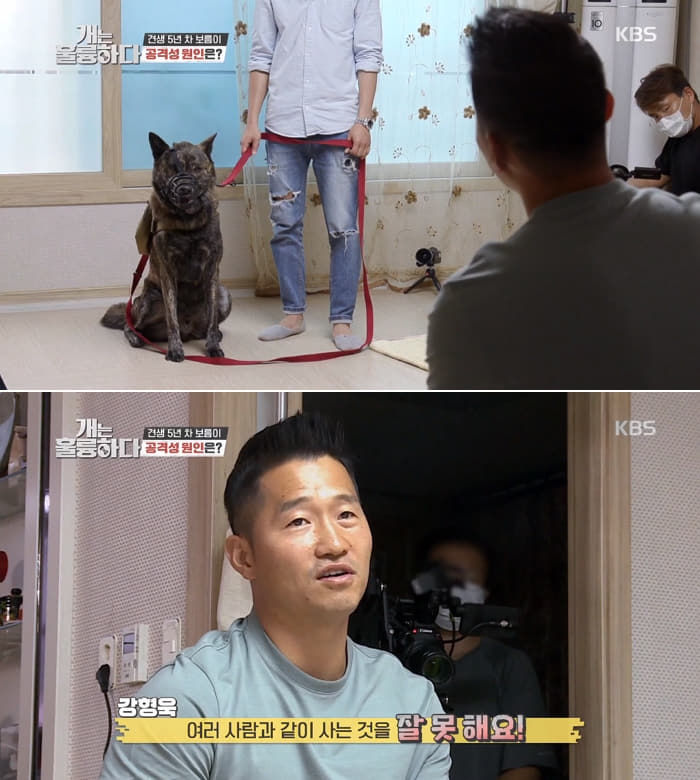 애니멀플래닛