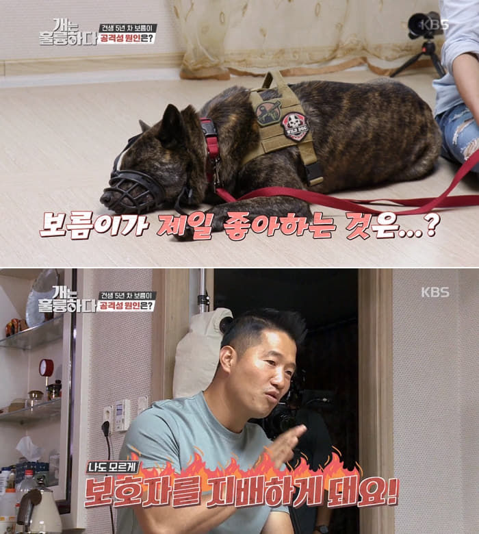 애니멀플래닛