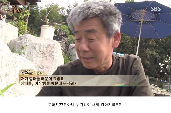 애니멀플래닛