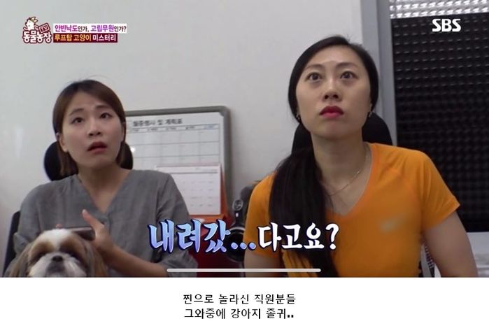 애니멀플래닛