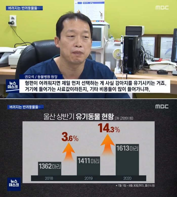 애니멀플래닛