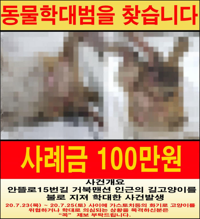 애니멀플래닛