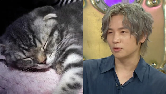 애니멀플래닛