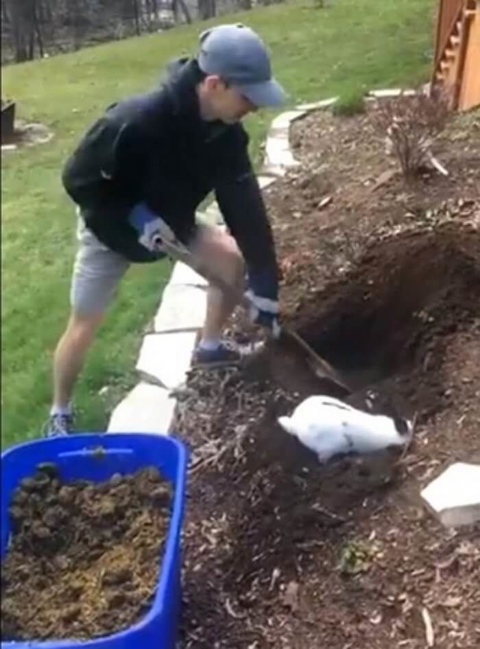 애니멀플래닛