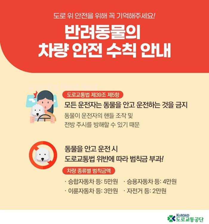 애니멀플래닛