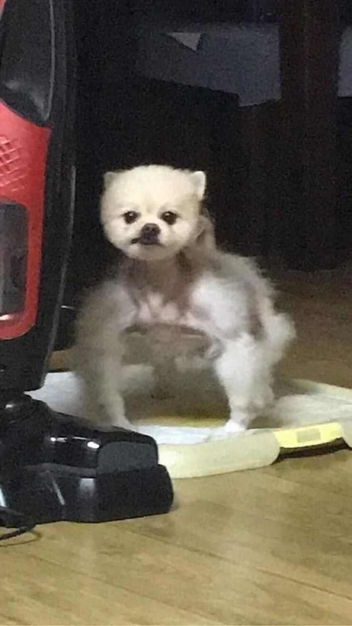 애니멀플래닛