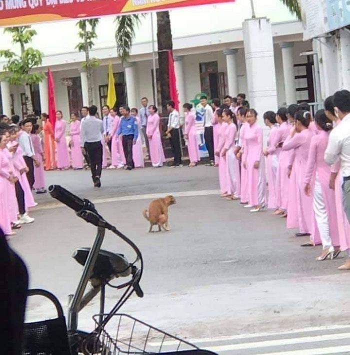 애니멀플래닛