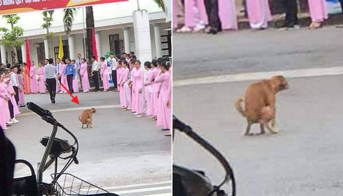 애니멀플래닛