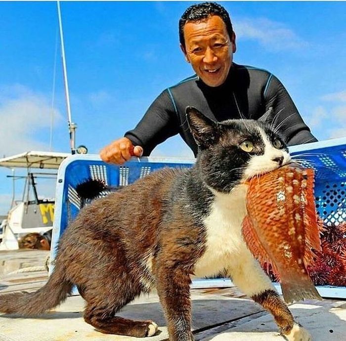 애니멀플래닛