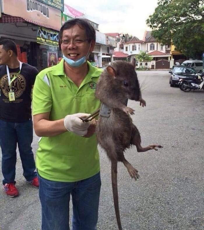 애니멀플래닛