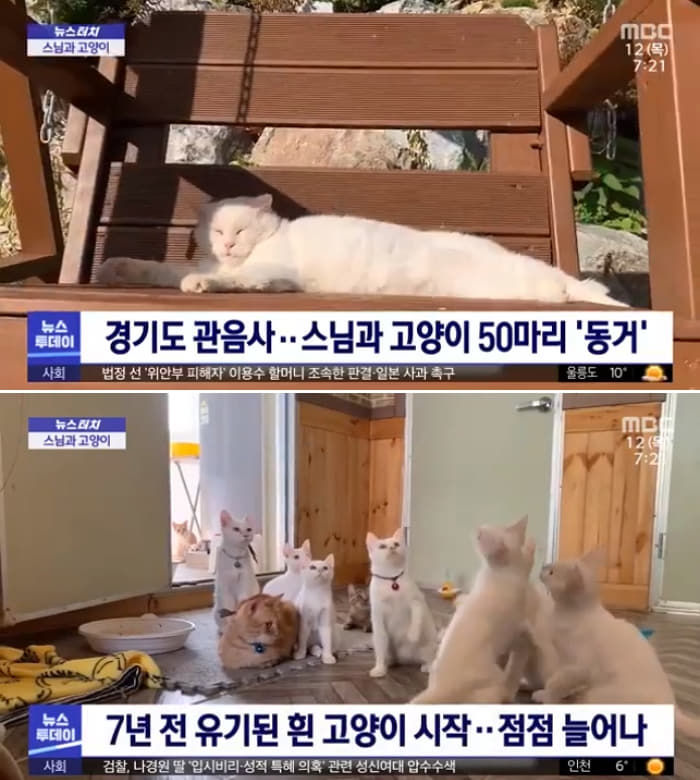 애니멀플래닛
