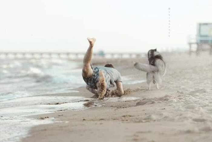 애니멀플래닛
