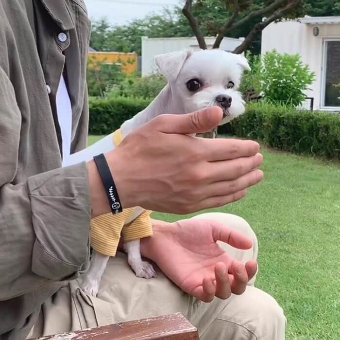 애니멀플래닛