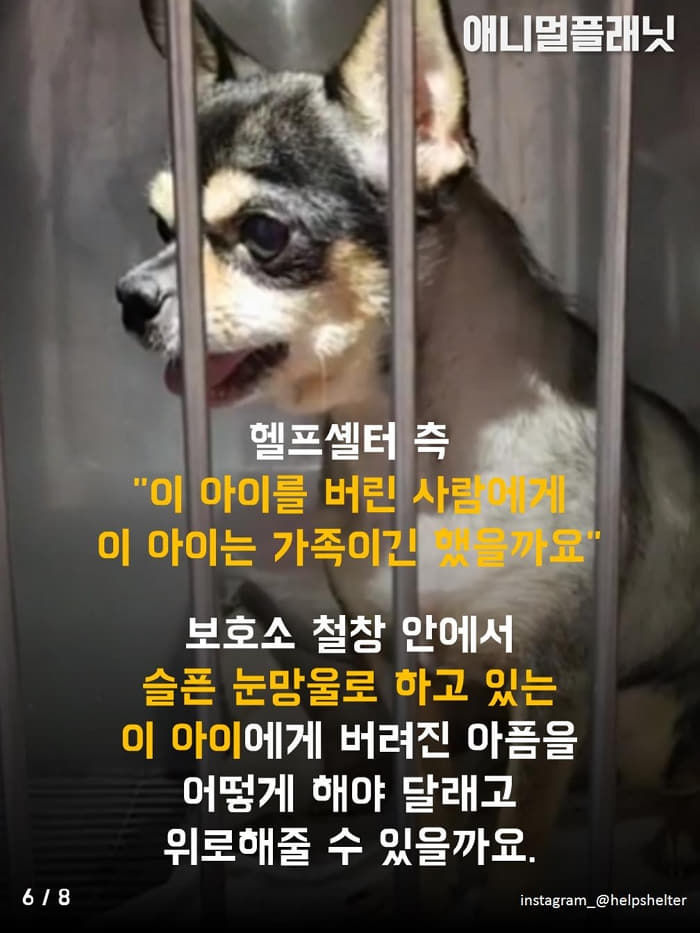 애니멀플래닛