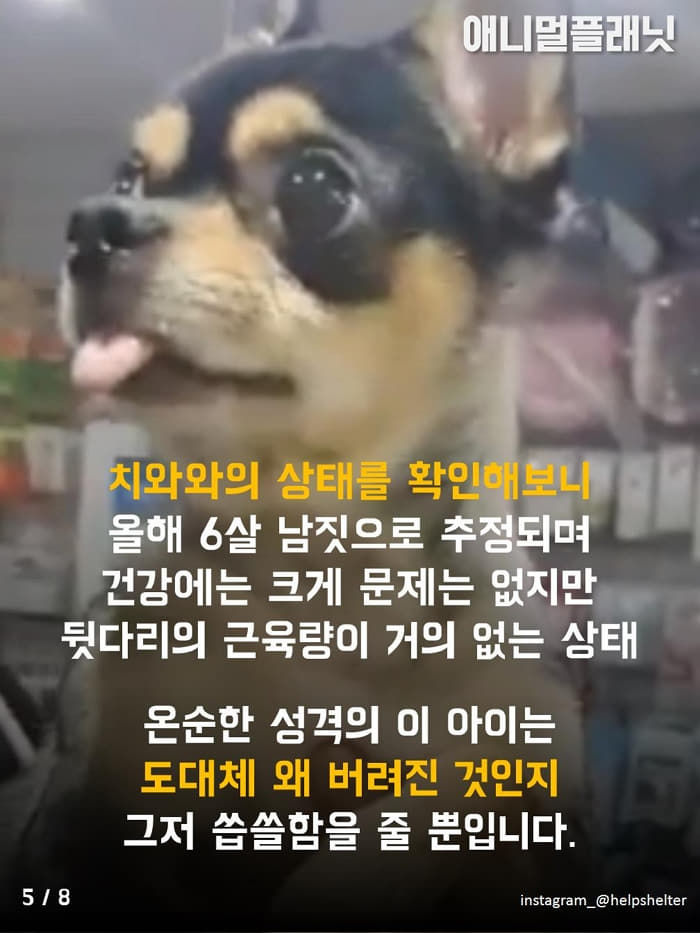 애니멀플래닛