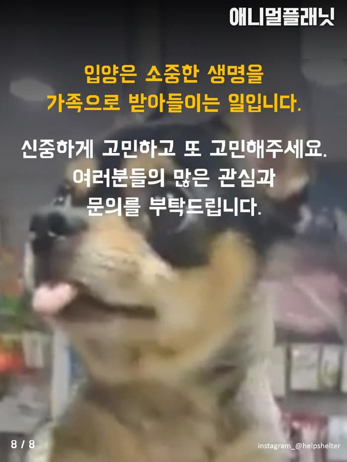 애니멀플래닛