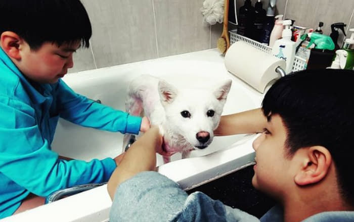 애니멀플래닛