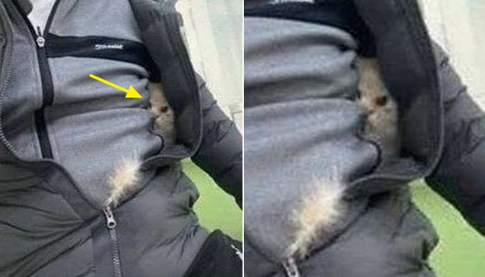 애니멀플래닛