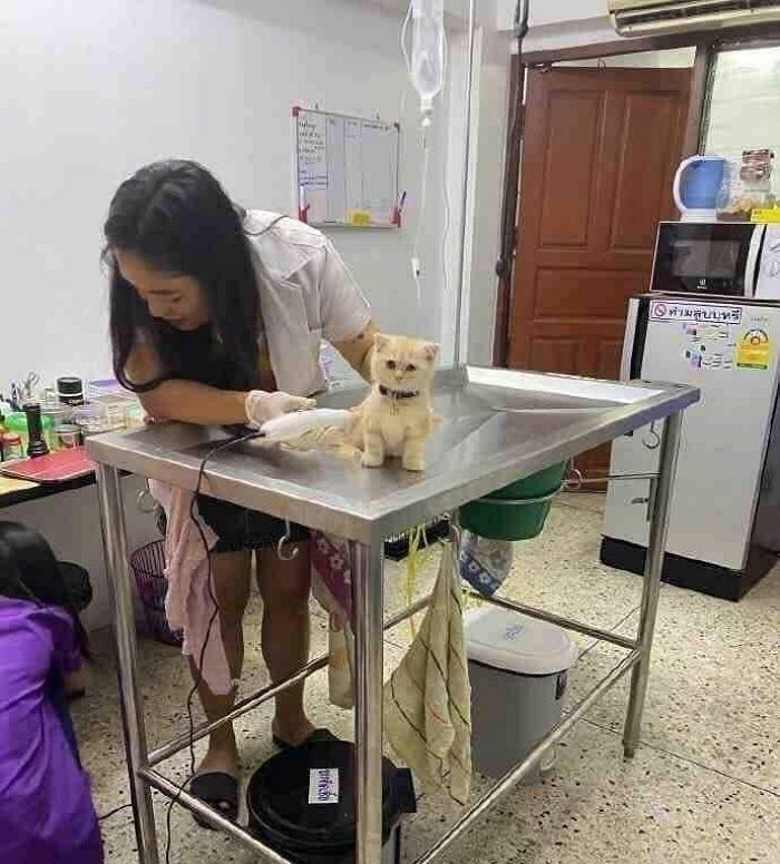 애니멀플래닛