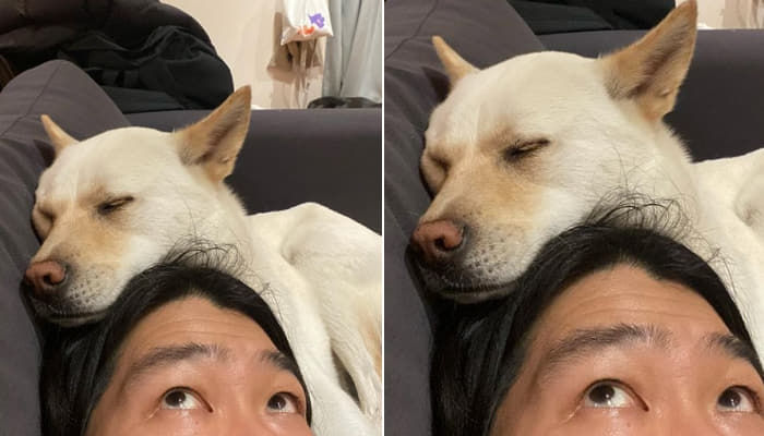 애니멀플래닛