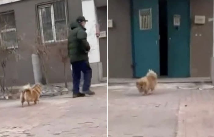 애니멀플래닛