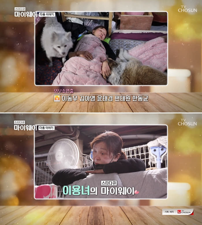 애니멀플래닛