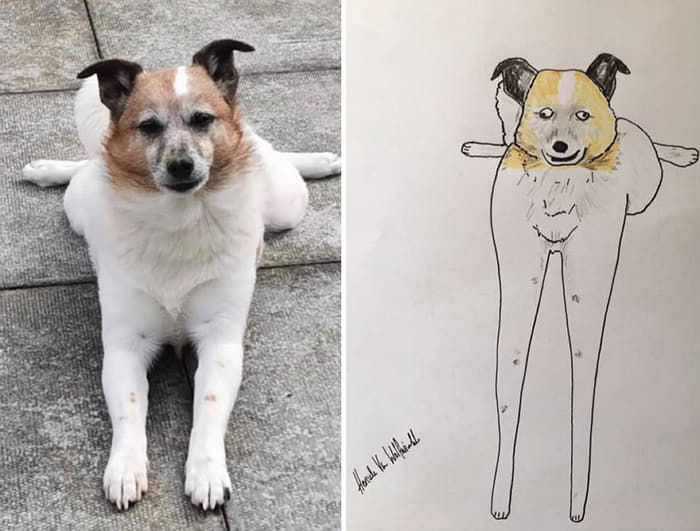 애니멀플래닛