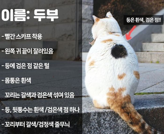 애니멀플래닛