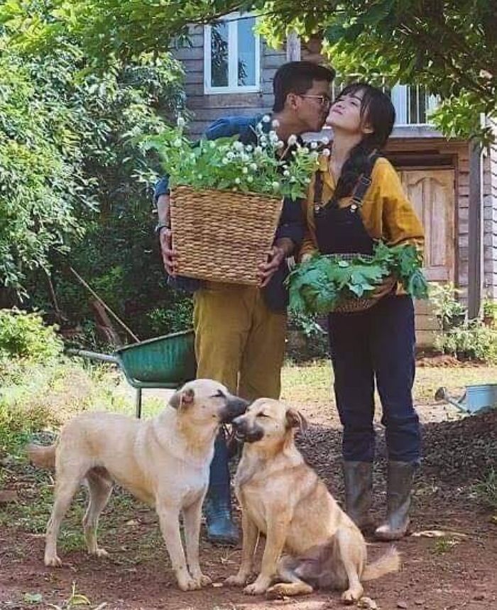 애니멀플래닛