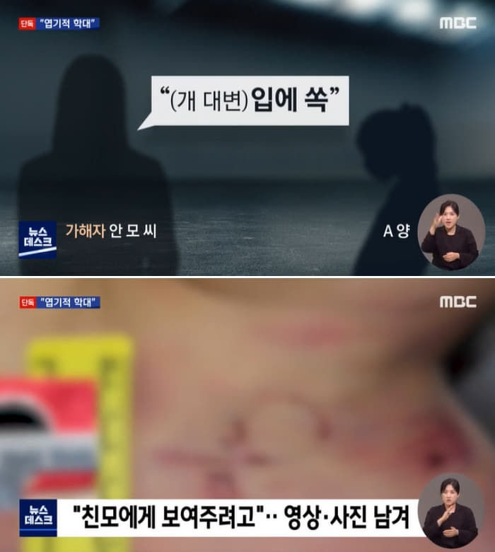 애니멀플래닛