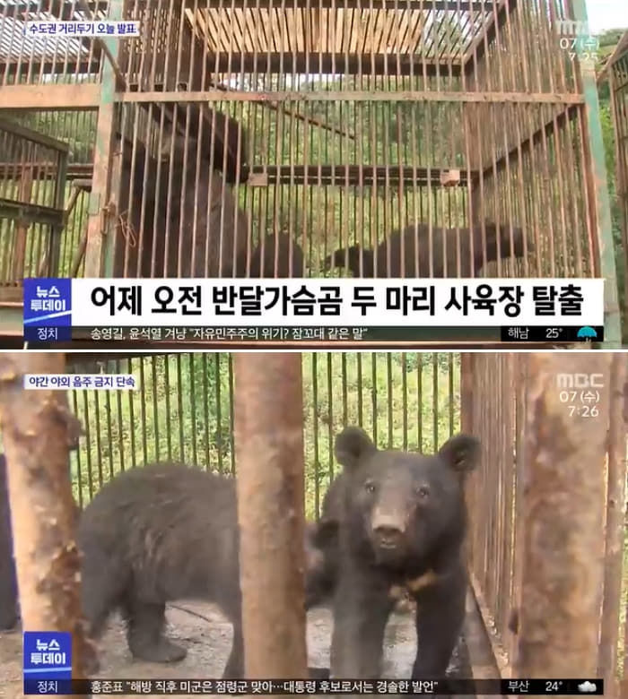 애니멀플래닛