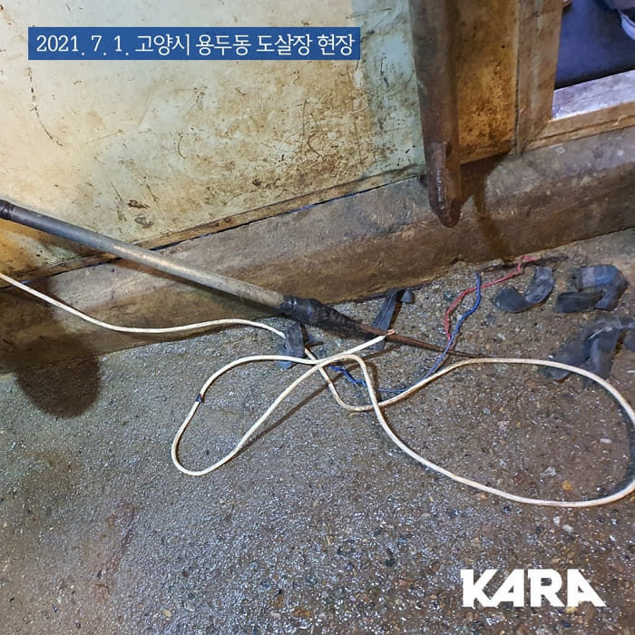 애니멀플래닛