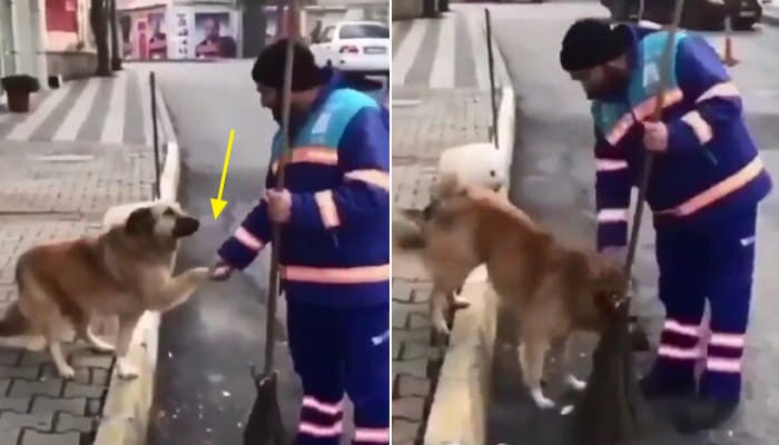 애니멀플래닛