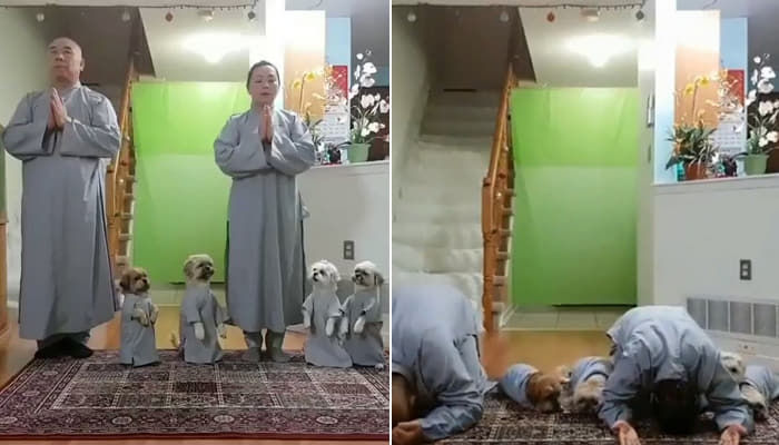 애니멀플래닛