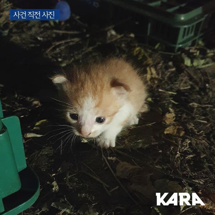 애니멀플래닛
