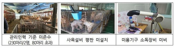 애니멀플래닛