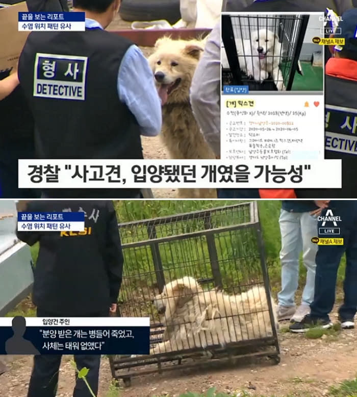 애니멀플래닛