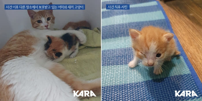 애니멀플래닛