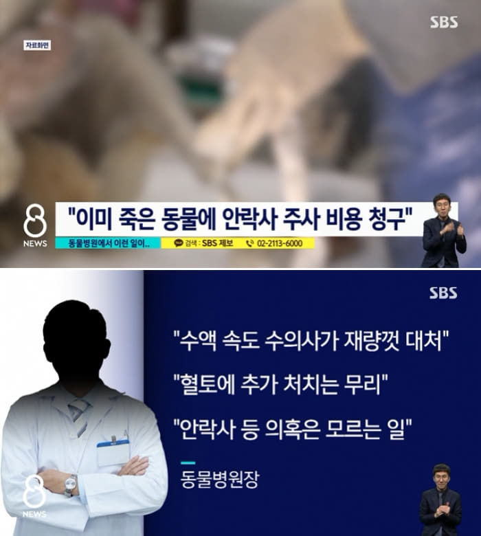 애니멀플래닛