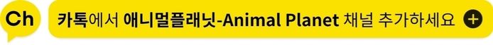 애니멀플래닛
