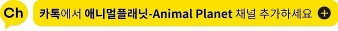 애니멀플래닛