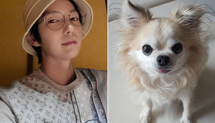 애니멀플래닛