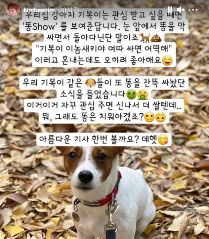 애니멀플래닛