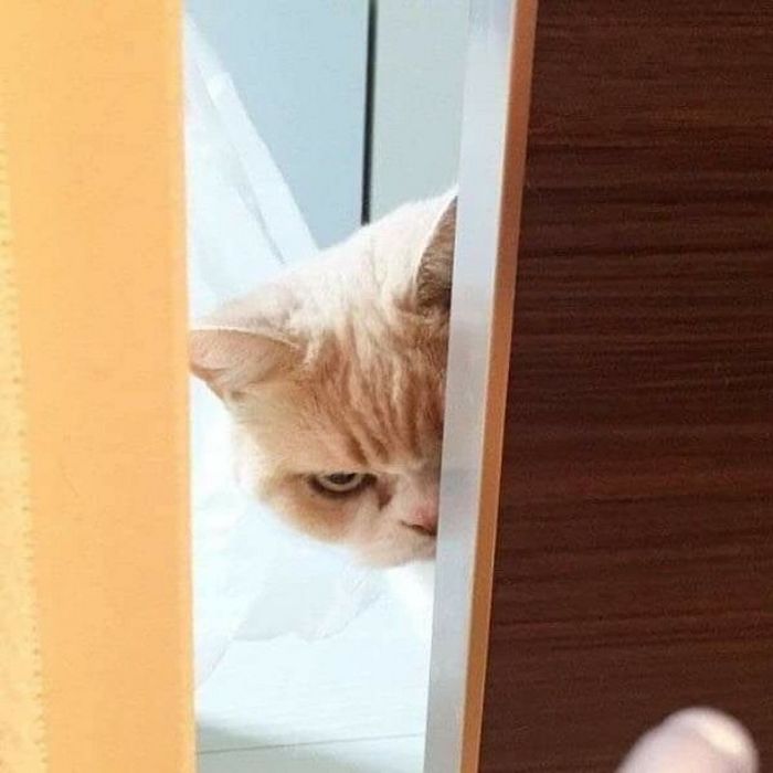 윈썸79 이미지