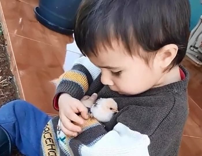 애니멀플래닛